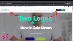 Two logos in wordpress softexpert