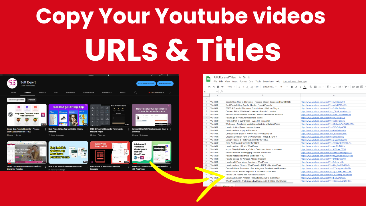 How to Copy All The Titles And URLs From YouTube Channel – Soft Expert