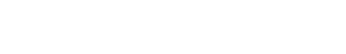 Vandiddenautomotive logo white